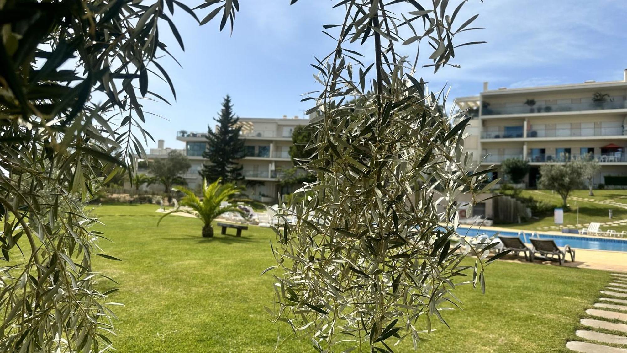 Charmant Appartement A 1Km De La Plage, Avec Piscine A Albufeira Dış mekan fotoğraf